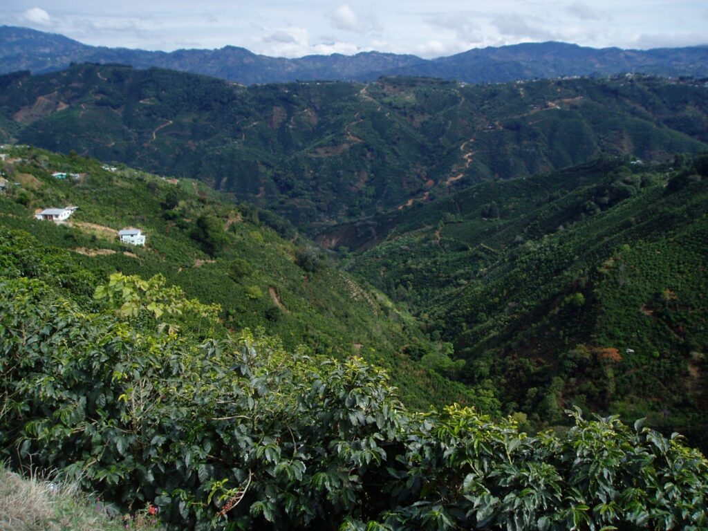 Tarrazu, Costa Rica