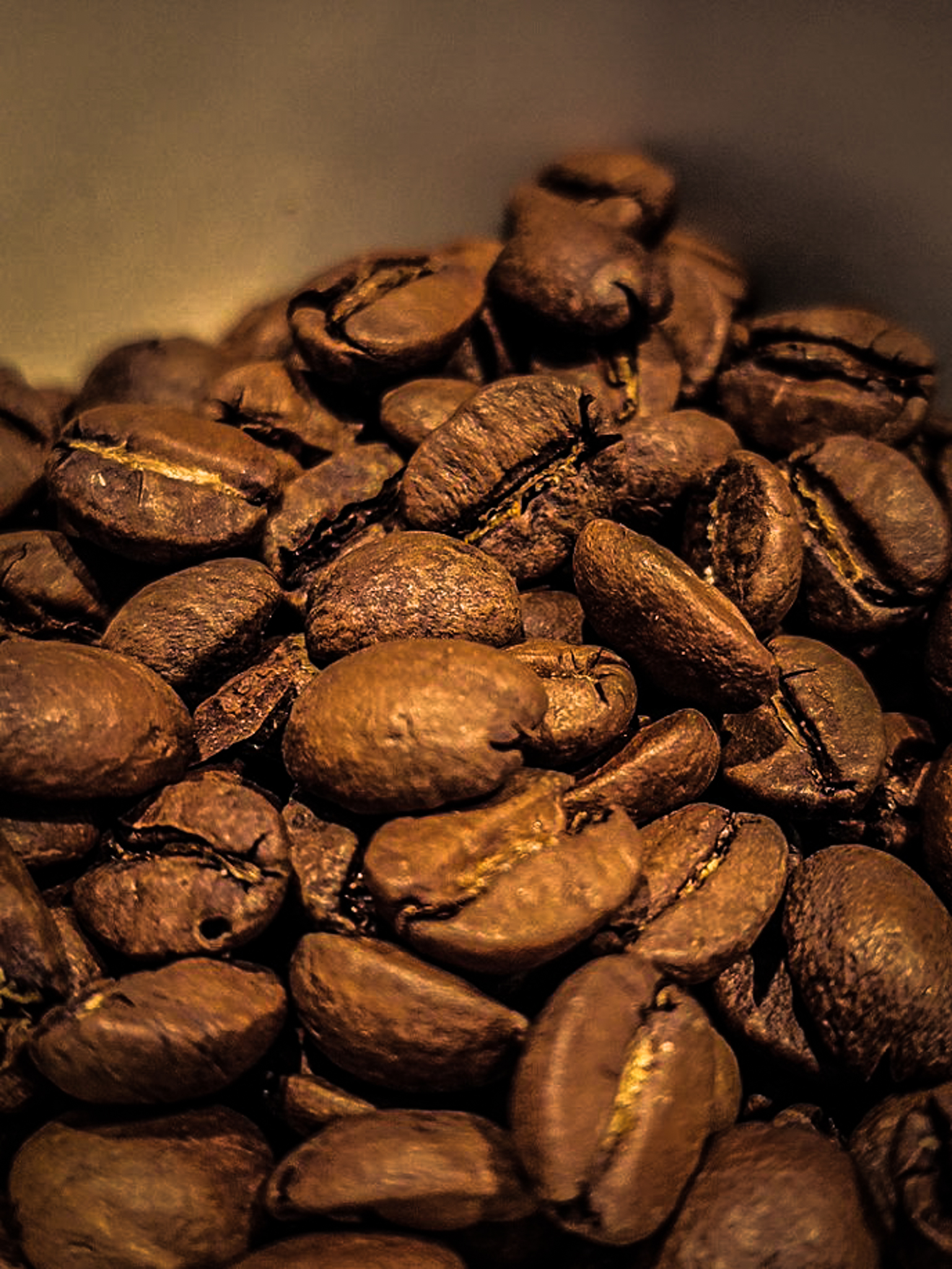 Goats and Espresso The History of Coffee Electric City Roasting Co.®